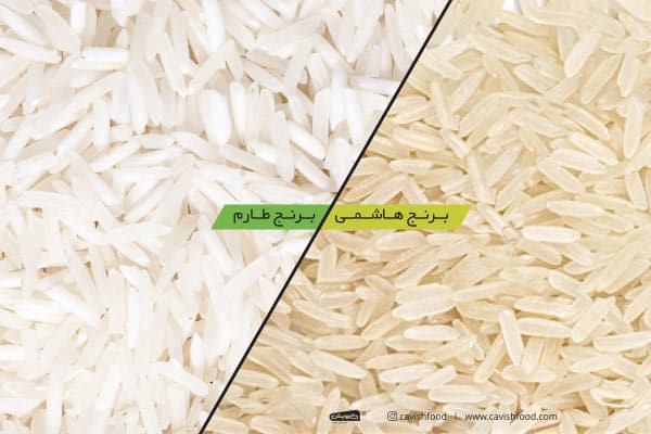 تفاوت برنج طارم و هاشمی
