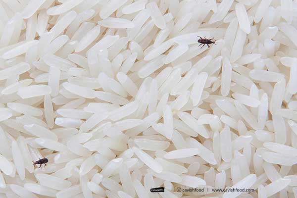 راه کشتن کرم برنج