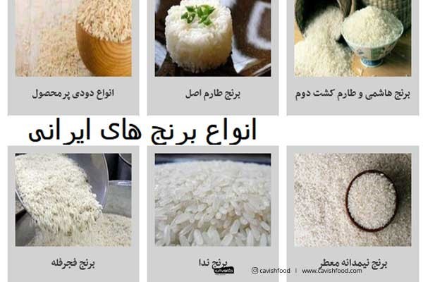 گونه‌های مختلف برنج ایرانی
