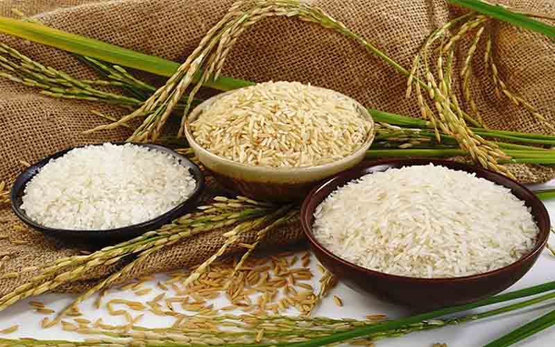 تفاوت برنج نو و کهنه