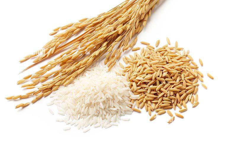تبدیل شالی به برنج