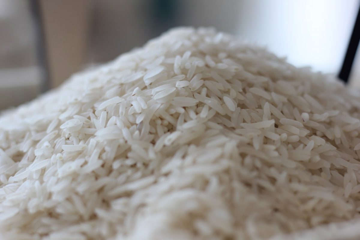 زمان تهیه برنج ایرانی