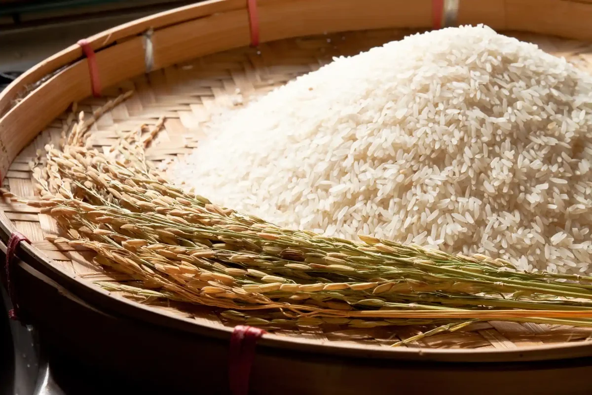 خرید برنج در مشهد