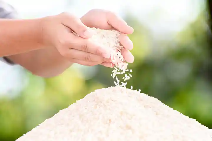 خرید برنج در تبریز