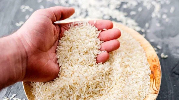 برنج امراللهی
